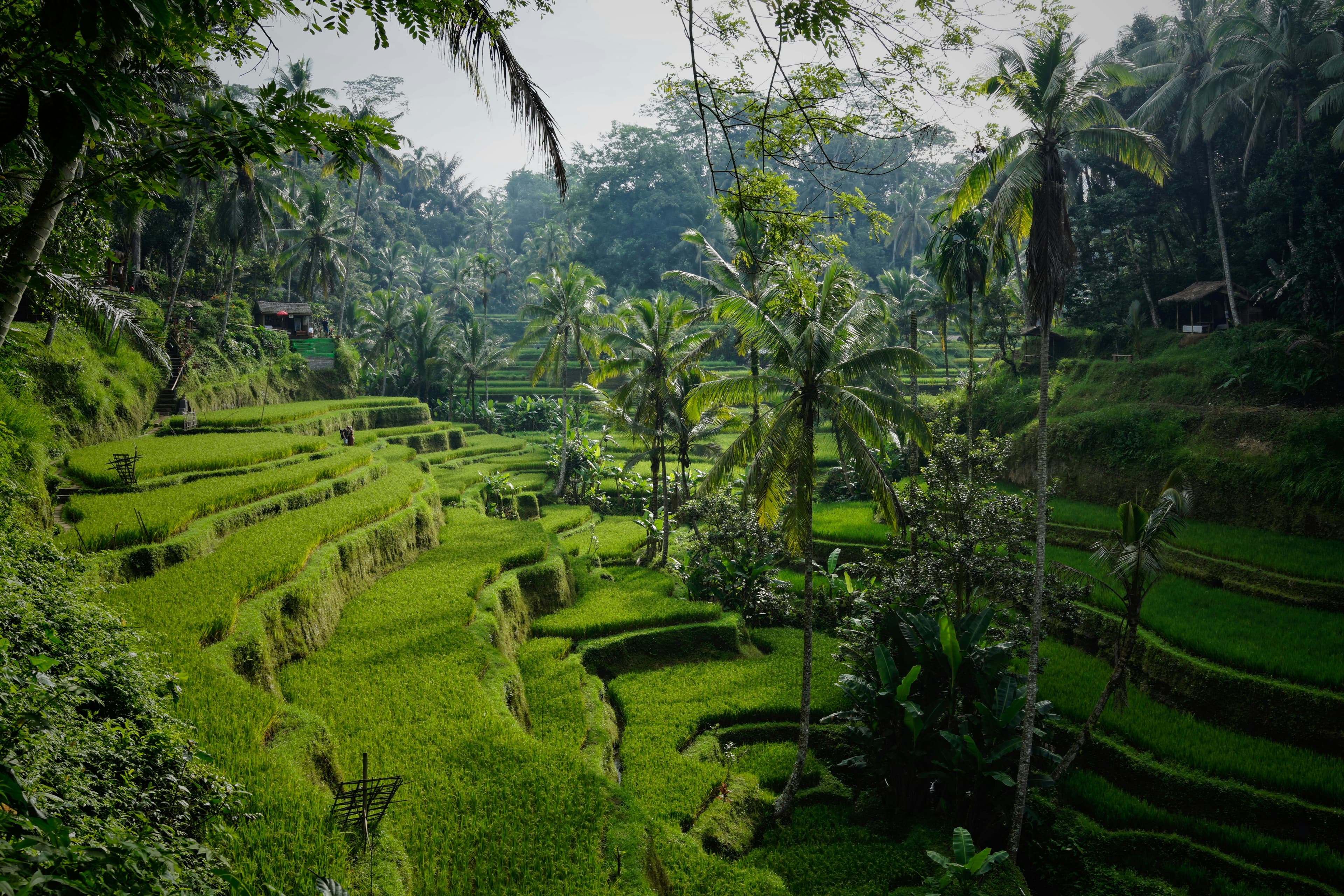 Bali Cultural Adventure